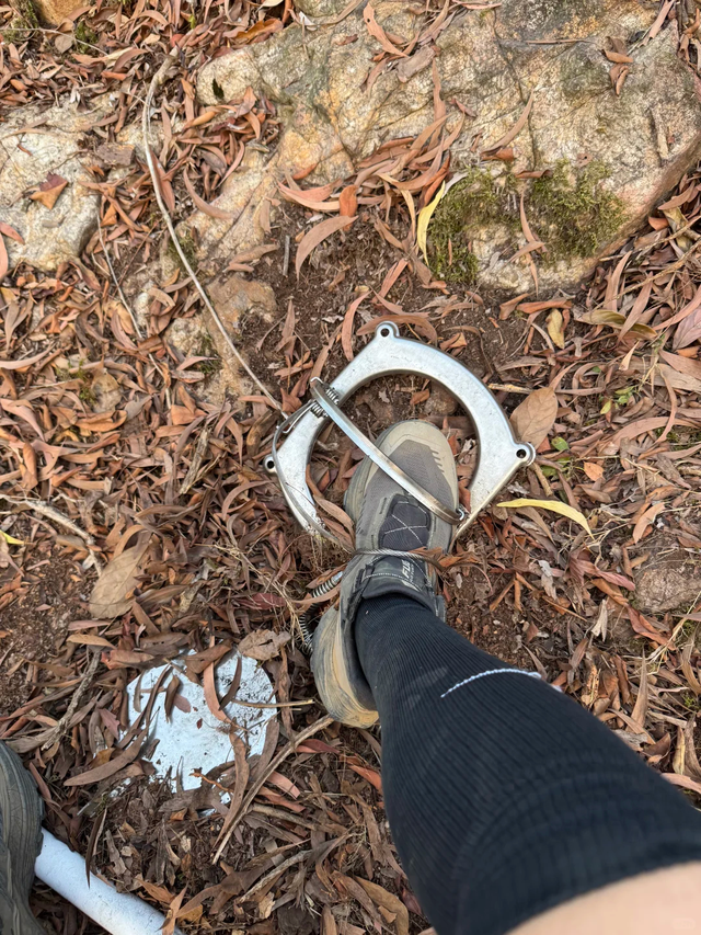 广州市民徒步白云山踩中捕兽夹，几分钟内便感到发麻！景区回应：景区内严禁放置捕兽夹，正在排查