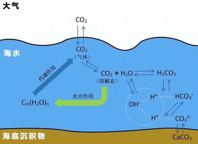 海水也能变塑料？这个世界越来越科幻了！
