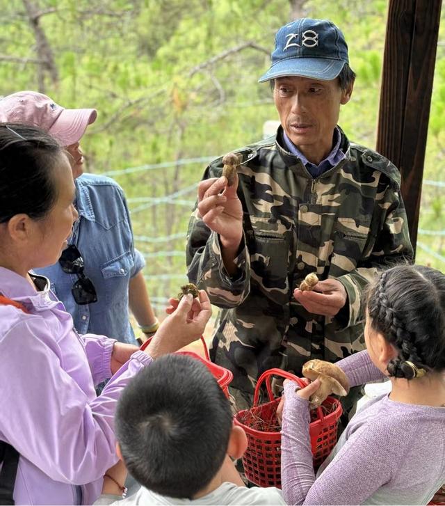 南华县迎来暑期采菌研学热