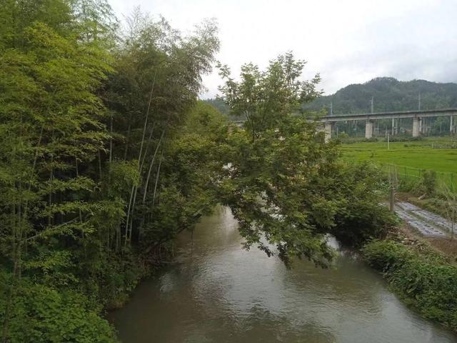 端阳喜伴小溪河，独有诗心迷远足——徒步小溪河散记（三）