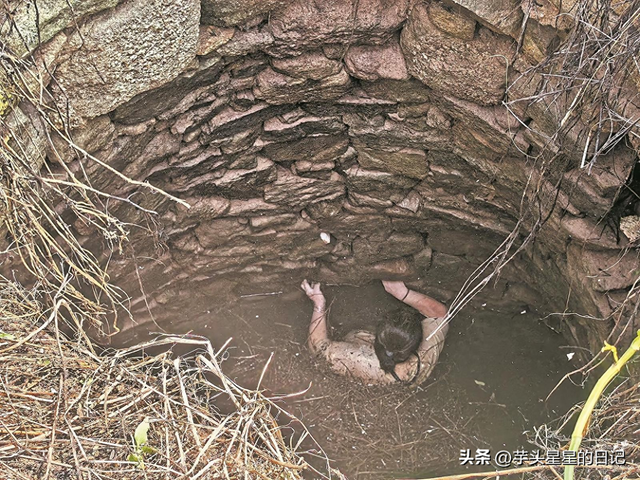 福建女子坠井54小时：被蛇缠身，淹在井水里，想着父母坚持下去