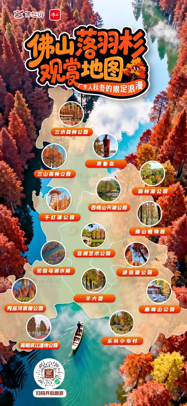 趣游周末丨佛山落羽杉地图！解锁色彩斑斓的绝美秋天！