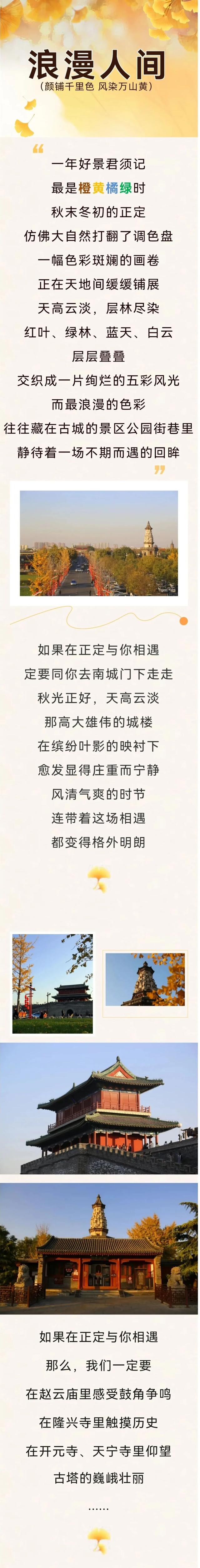 美！这才是正定的初冬“顶流”！