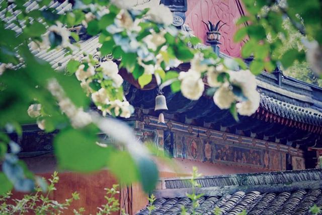 浙江千年古刹：这5座寺庙藏着江南最深的禅意，你去过几个？