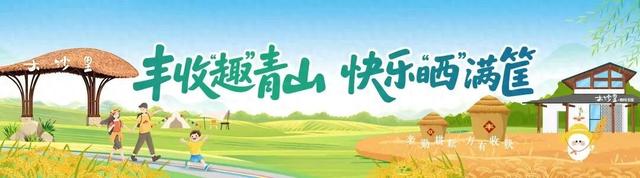 丰收宴、打糍粑 、85折券逛吃...长沙县首届徒步健身走报名启动→