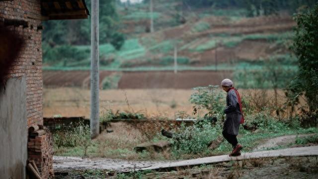 梦幻办公室小游戏（99年的网吧包厢）