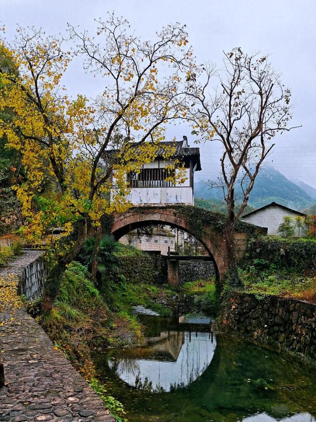 东黄山拾色记 | 皖美冬日 | 第十五届安徽国际文化旅游节
