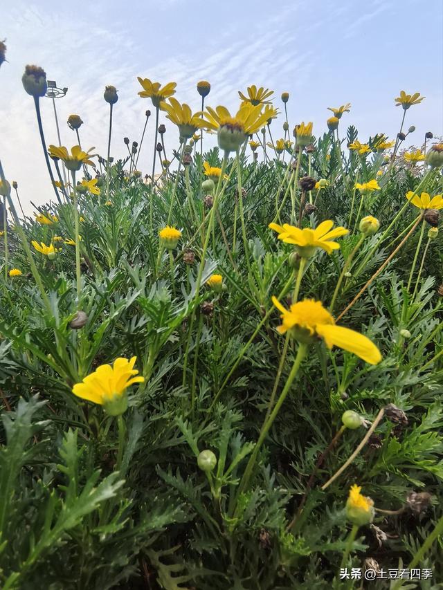 穷人没钱，不是没想法	，眼前的日子都顾不过来时，哪顾得了将来？