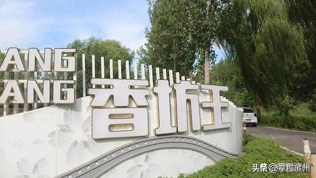 荫荷生凉！解锁滨州近郊一处新晋打卡地