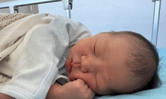 2025年12月 第5页