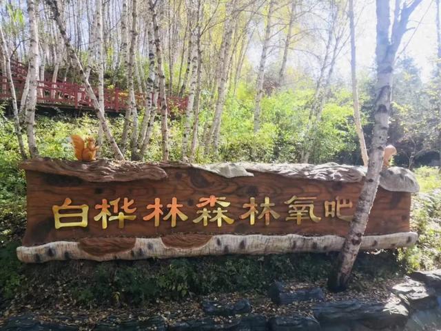 邂逅康乐：诗与远方的五彩画卷