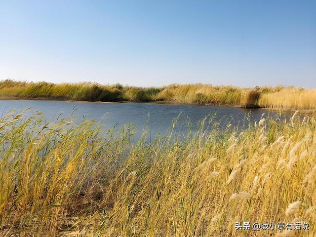 才觉深秋至，忽而已是冬