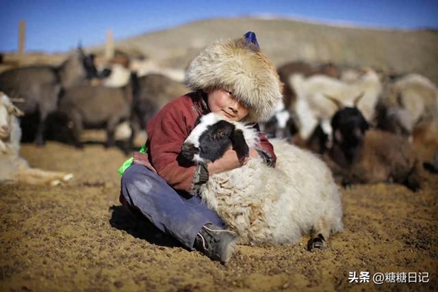 父亲把脑瘫儿子扔内蒙古沙漠，8年后母亲去旅游相遇：妈，是你吗
