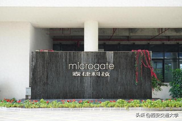 向创新深海进发！张照前：以“微芯”之力，铸“强国”之器——“仙交小融”访深圳科创企业交大校友
