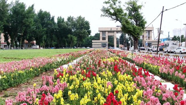 “花漾香坊”邀您共游花海