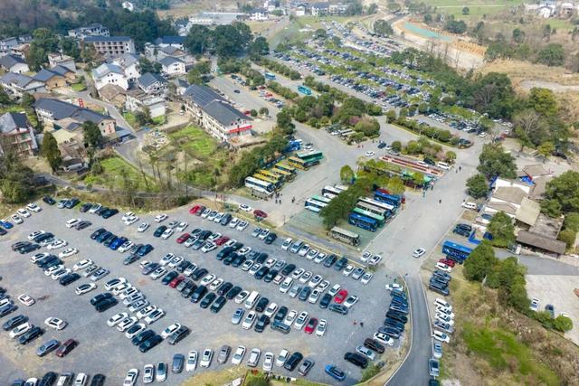 “三八”妇女节人气火爆！明月山迎来春日登山热潮！