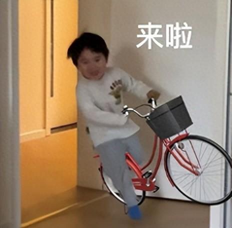 谜妹漫画宅男版app下载地址（剧荒了别担心）