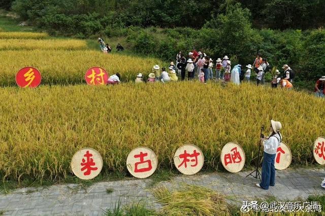秋色如酿，光阴徙转，大余湾却以她浓烈而温暖的仪式将流转的秋色凝驻