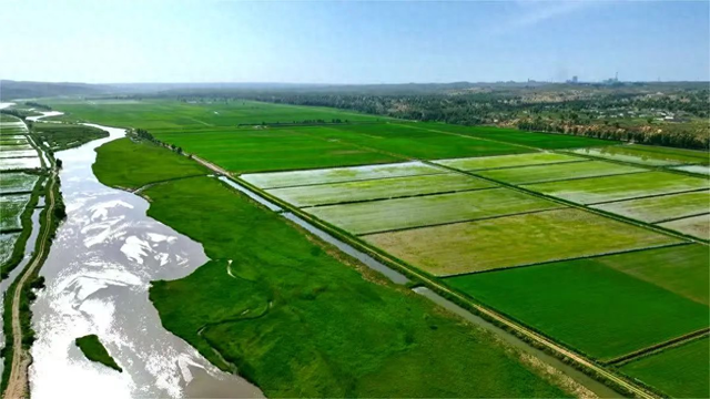 陕西榆林横山区：无定河畔的夏天