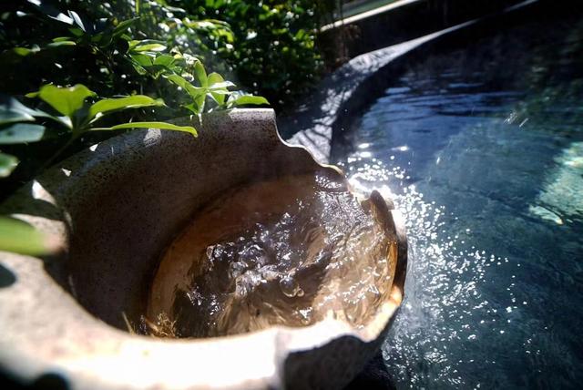 安顺梧桐温泉养生酒店：冬天里的一处静谧栖息地