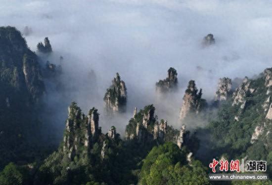 湖南张家界：峰起云间醉游人