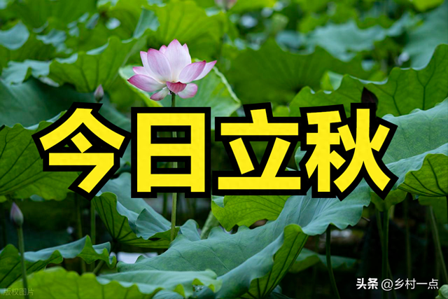 今日立秋，提醒大家：无论多忙，1不出、2要睡、3要晒、4要吃！