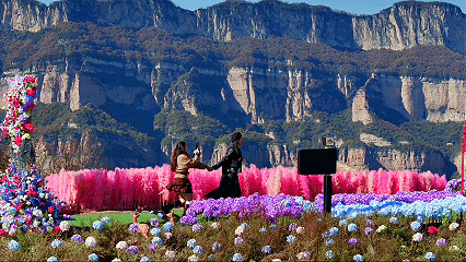 藏在石家庄的“莫奈花园”——花海、秋千、网红打卡点全都有！