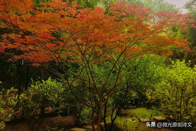 那些说走就走的旅行，悦了容颜，悦了心扉。