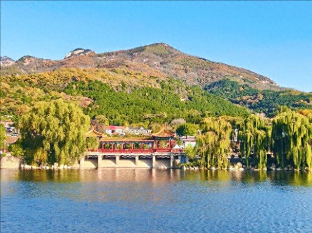 彩林映湖光 泰山虎山公园初冬画卷引客来