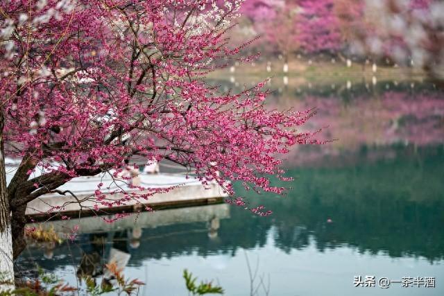 自驾江苏常州攻略！五天保姆线路，串联热门景点免费营地特色美食