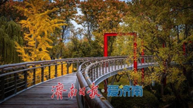 泉城公园秋日景色正当时 济南市民休闲赏秋绝佳去处