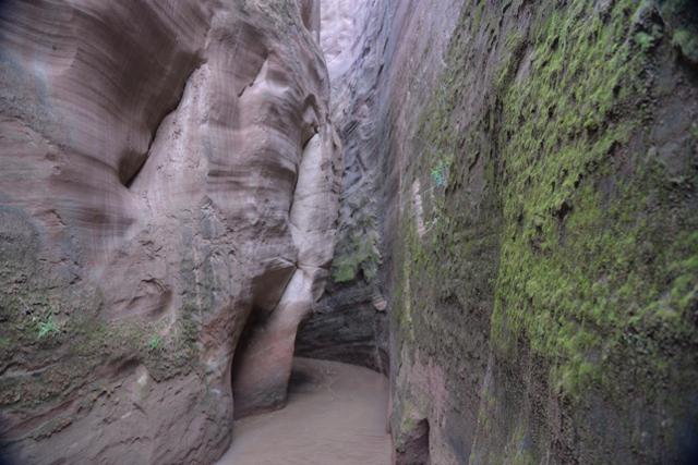 陕西靖边县高家沟：有一个隐匿峡谷的天然画廊