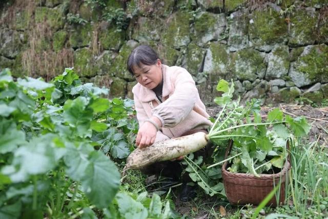 芳林坪民宿经济火出圈