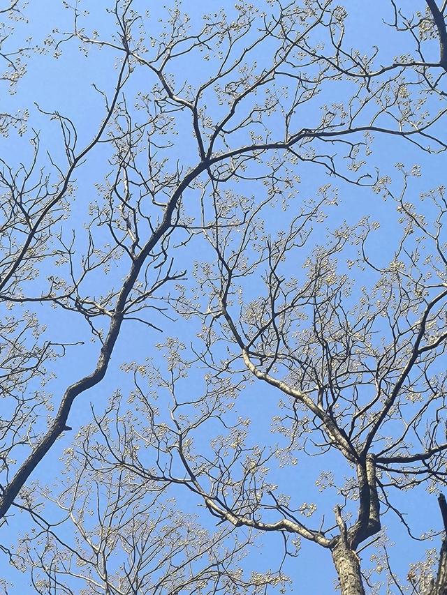 通过数字化转型 实现“聚沙成塔”