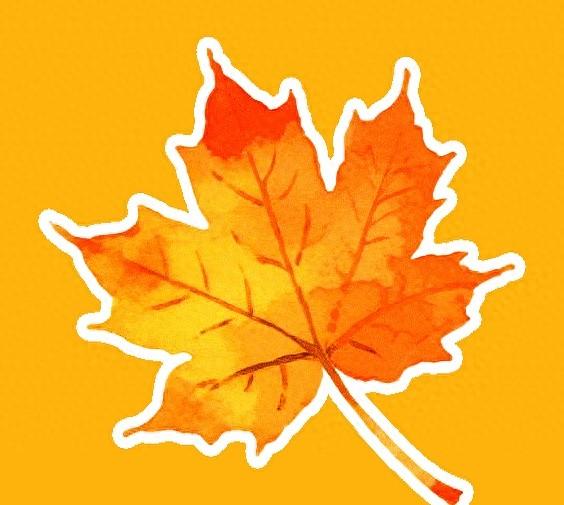 北京深秋“值得	”逛得3处公园	，景色一个比一个唯美！