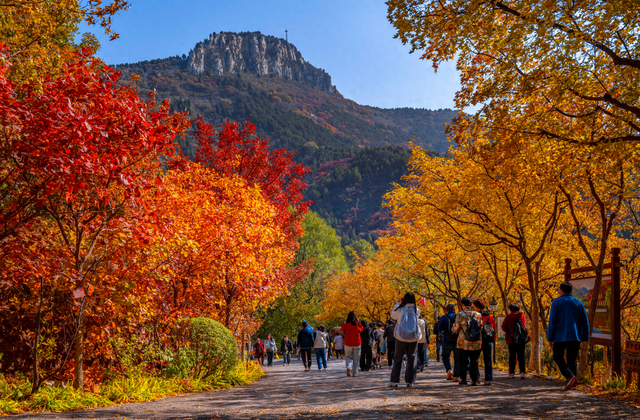 一步一景入画来！济南红叶谷的深秋藏着最治愈的诗意
