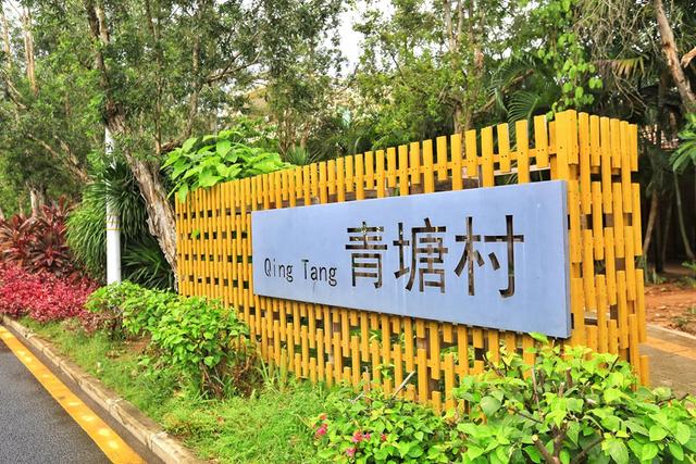 三亚海棠湾青塘村，充满童趣的涂鸦世界，解锁乡村沉浸式新体验