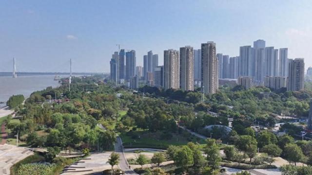 漫步青山江滩 感受海绵城市的绿色脉动