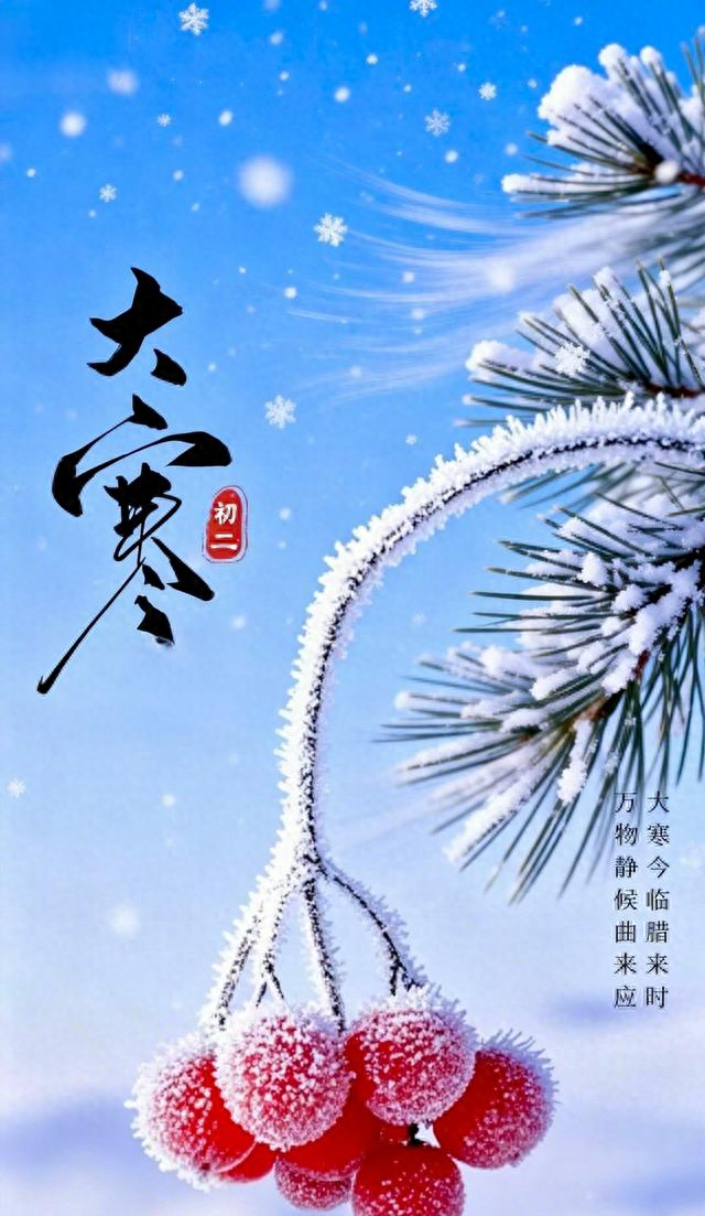 大寒：岁染霜华，心藏暖，时光向暖	，春不远