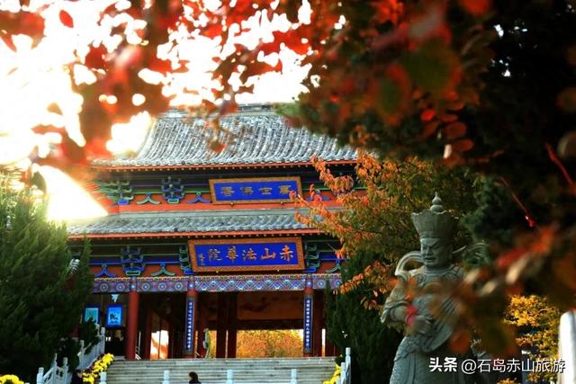 赤山红叶记：山海之间的秋日三重奏
