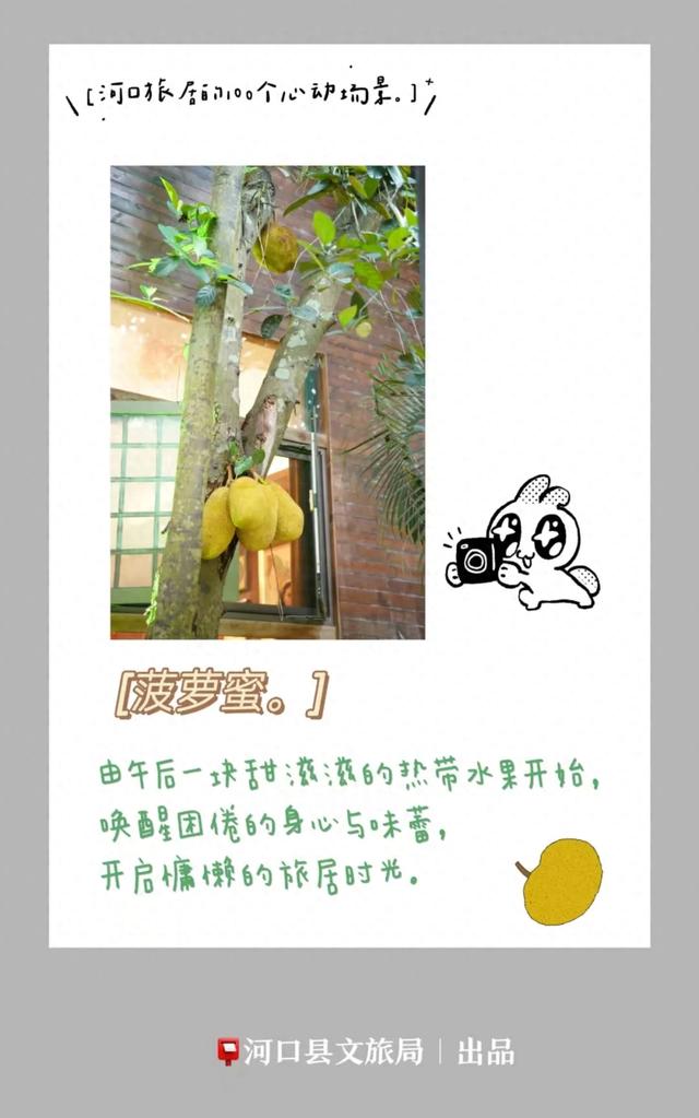 河口旅居的100个心动场景 | 享边城旅居的甜蜜时光