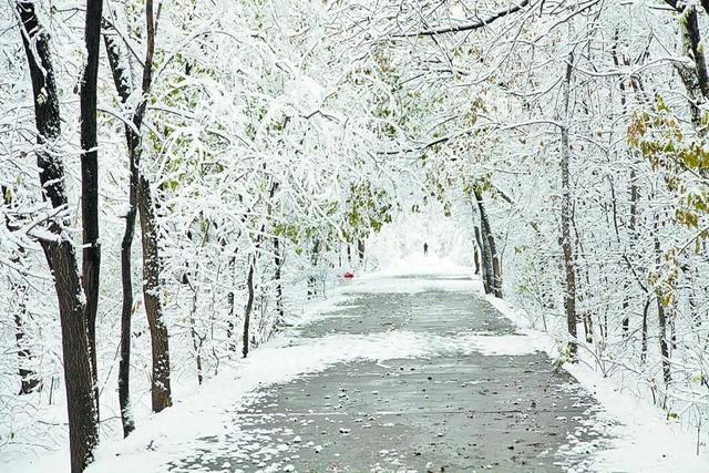 镜头抵严寒，定格呼伦贝尔冬日极致风光