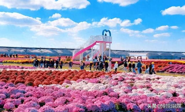 射阳秋冬顶流！出片率100%