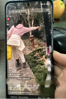 长沙岳麓山风景区回应游客抛撒白色物体：是面包屑和馒头片，游客投喂动物，将加强引导