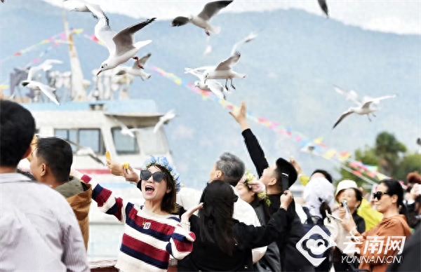 【早安云南·云游】浪漫值已拉满！快来邂逅昆明的“冬日顶流”