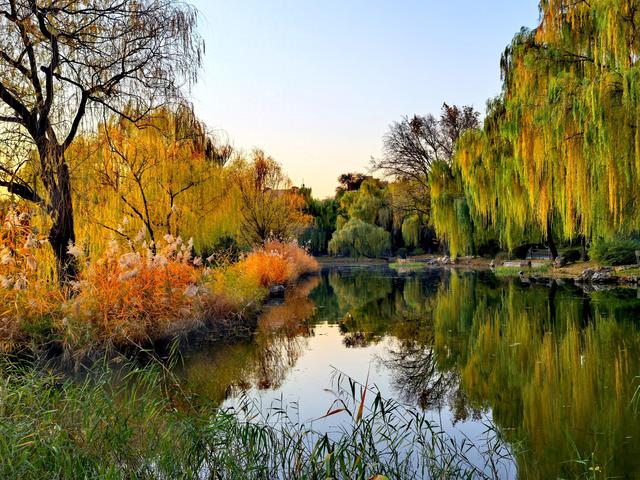 太美了！北京紫竹院如油画般梦幻