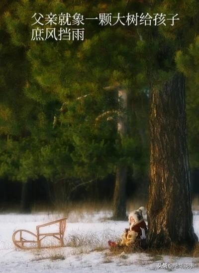 父亲是这样教我的