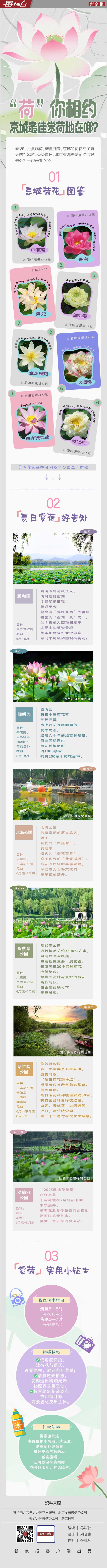 图个明白 | “荷”你相约 京城最佳赏荷地在哪？
