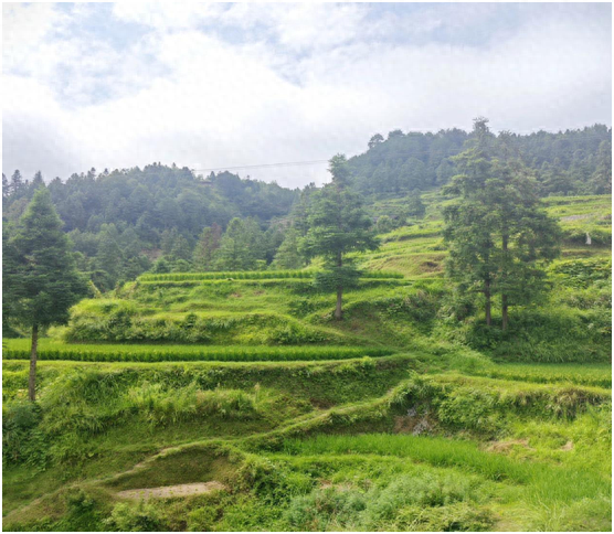 慢节奏旋律：纪堂村的山间探索