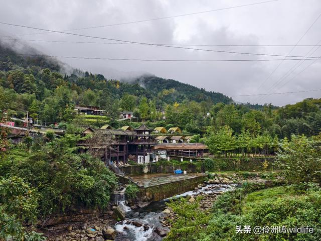 四川行(73)什邡红枫岭徒步到钟鼎寺